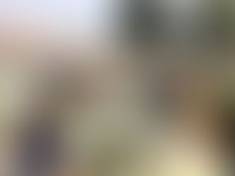 Llama GEM a prevenir enfermedades y accidentes durante las festividades de Día de Muertos