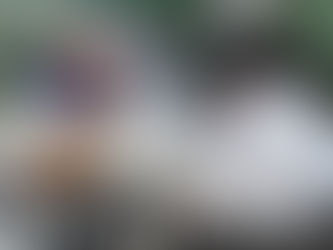 Capta GEM más de 290 mdp al incorporar al padrón estatal vehículos foráneos