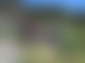 Universitarios y pobladores fomentan aviturismo en zona matlatzinca