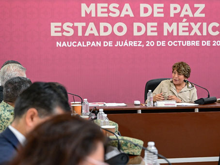 Bajan delitos de alto impacto en EdoMéx: Secretariado Ejecutivo del Sistema Nacional de Seguridad Pública