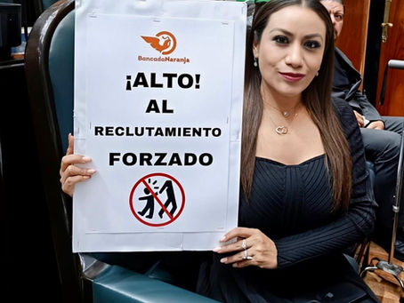 Diputada Ruth Salinas presenta iniciativa para tipificar el delito de “Reclutamiento Forzado de Niñas, Niños y Adolescentes”