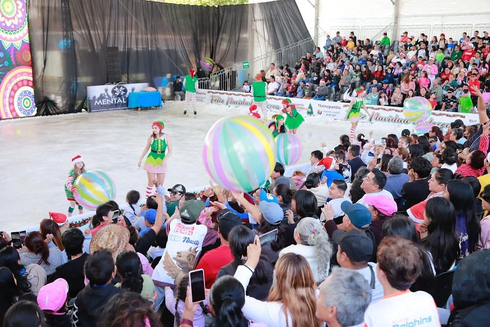 Disfruta de la pista de hielo en el parque cri-cri