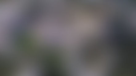 Tlalnepantla invita a disfrutar de sus atractivos turísticos estos días santos