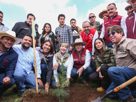 Nace el primer bosque-escuela en EdoMéx