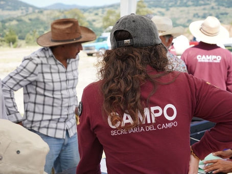 Inicia GEM jornada de salud preventiva para ganado bovino