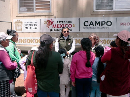 Acerca GEM educación forestal a infancias con Curso de Verano de Probosque