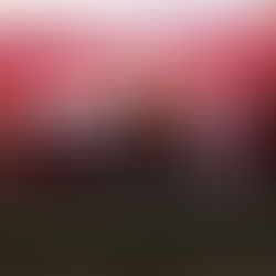 Tlalnepantla, sede de "Jornadas Difem" que realiza de manera coordinada entre gobiernos