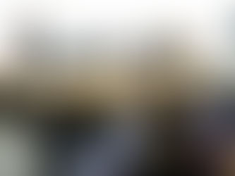 GEM refuerza medidas contra el gusano barrenador en la zona norte