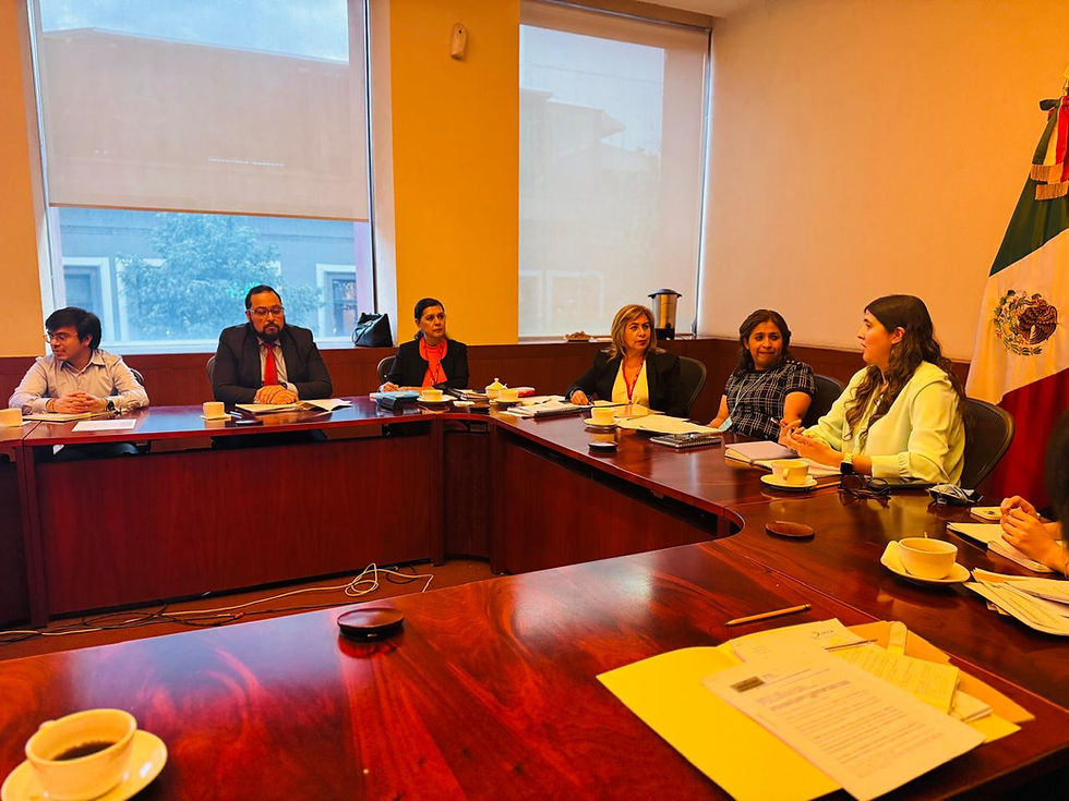 PJEdomex participa en postura internacional para proteger a la niñez ante violencia familiar