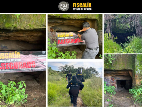 Aseguran las curvas del cerro de la condesa por supuesto sacrificio animal