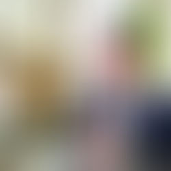 PVEM el partido mas transparente y disciplinado fiscal: IN3