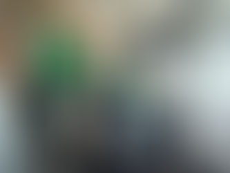 Con Bus de Vida, el Verde lleva salud a colonias que lo necesitan