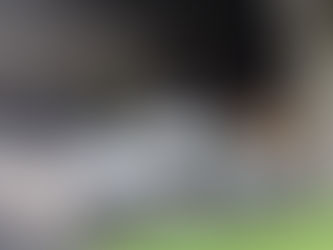 Mortal accidente en Torres Bicentenario; fallece una mujer