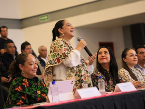 Presenta GEM sexta edición del Festival Internacional de las Luciérnagas 2026
