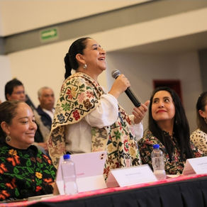 Presenta GEM sexta edición del Festival Internacional de las Luciérnagas 2026
