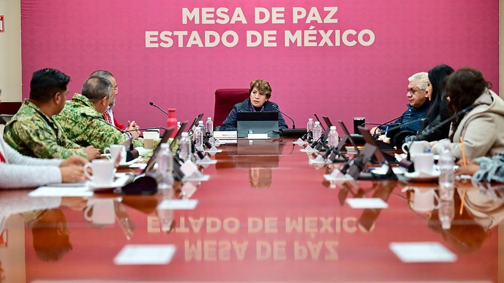 Bajan 9 delitos de alto impacto con estrategia de seguridad del GEM