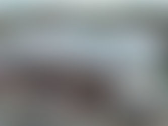 Impulsa GEM comercio y empleo con la modernización de mercado Chiautla