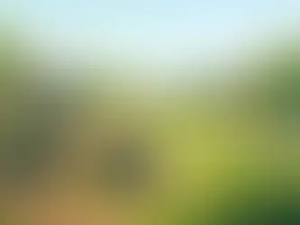 Landscape Renovation Cleanup for a Better Yard