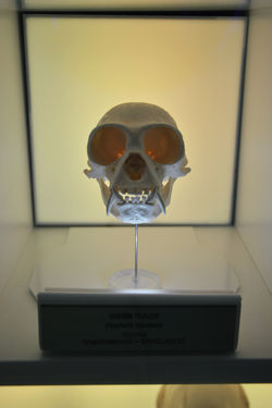 Wycieczka - Krasiejów