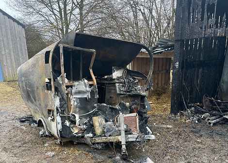 WhatsApp Image 2025-02-10 à 12.48_edited.jpg