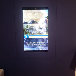 Registro: Museo colonial (4).jpeg