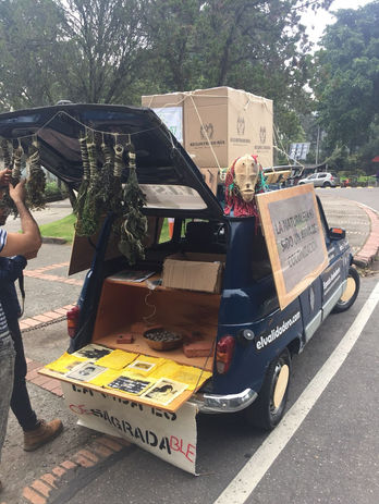 WhatsApp Image 2022-03-06 at 9.50.15 AM.jpeg