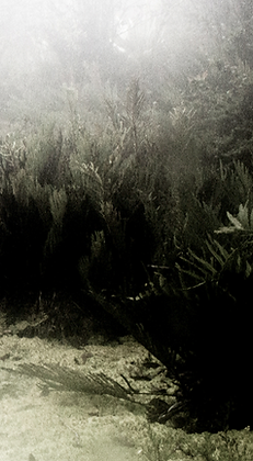 Captura de pantalla 2021-04-12 a las 21.