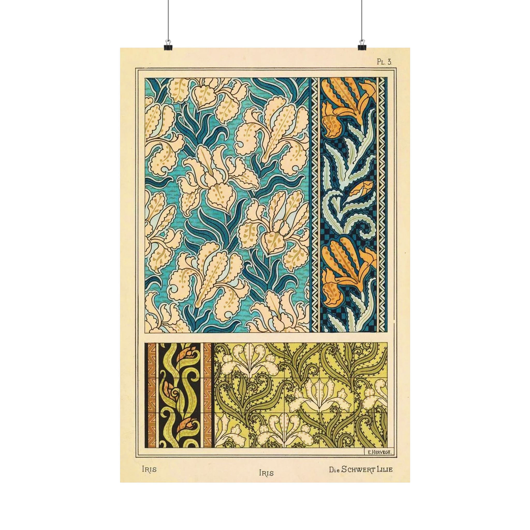 Iris by Eugène Grasset - Art Nouveau Botanical Illustration Print