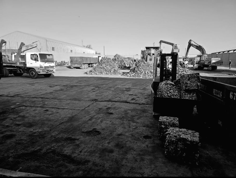 WhatsApp Image 2024-11-09 at 11.58.10 (1)