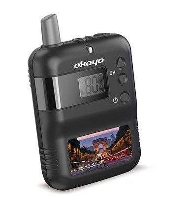 WT 300-G2 Receiver