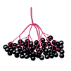 elderberries