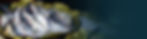 bg_cta.jpg