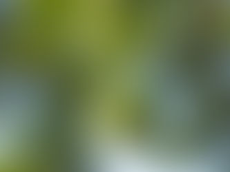 Estratto di Bergamotto e ricerca scientifica sul GLP-1 e il metabolismo del glucosio