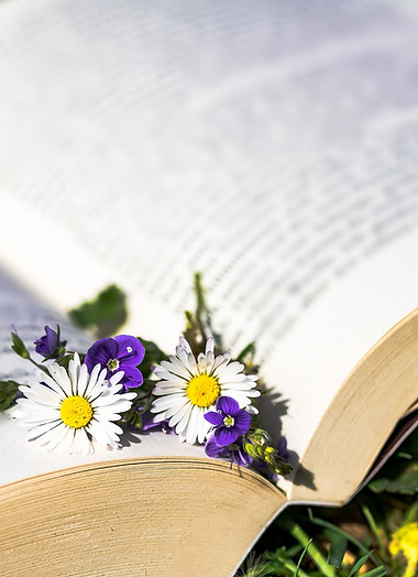 dove_studiare_naturopatia.jpg