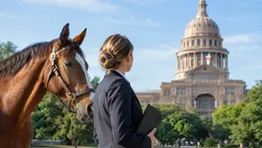 How to Organize Equine Capitol Visits in Texas