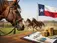Texas Bred Incentive Fund Explained