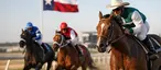 Why Is Texas Horse Racing Important?
