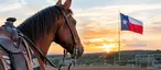Best Texas Horse Event Calendars for 2026