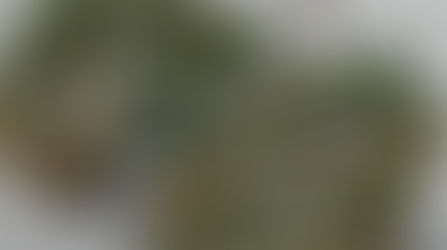 Artigo: O papel das grandes companhias na transição energética brasileira