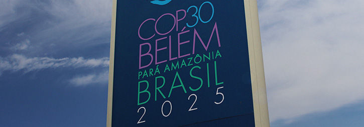Artigo: COP30 - Entre ambição e realismo, o Brasil entra na era da adição energética?