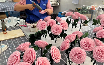 preserved flower factory 7.png