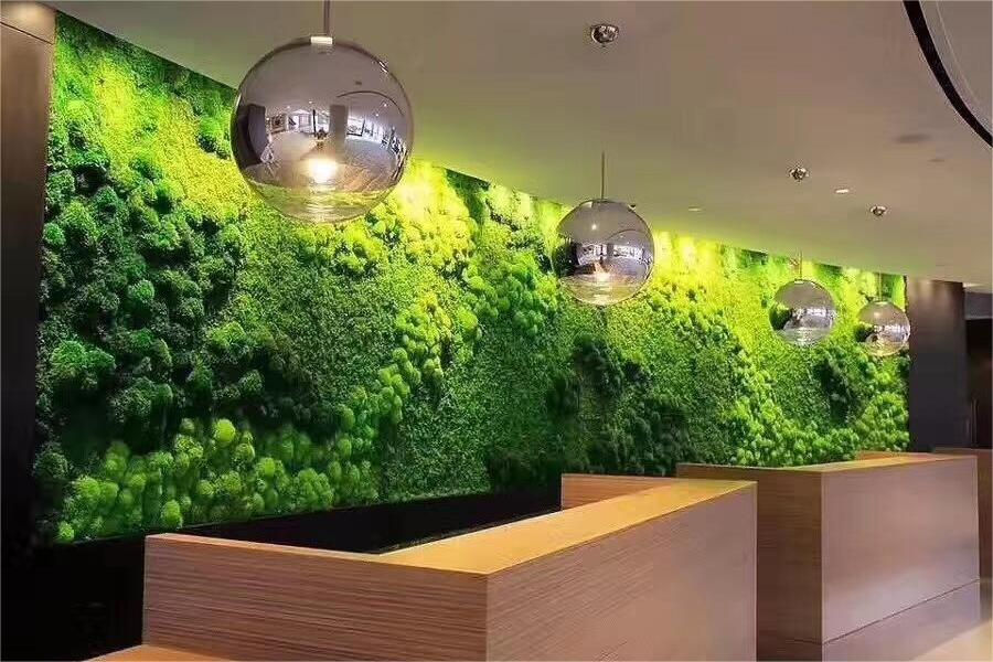 green walls in the workplace