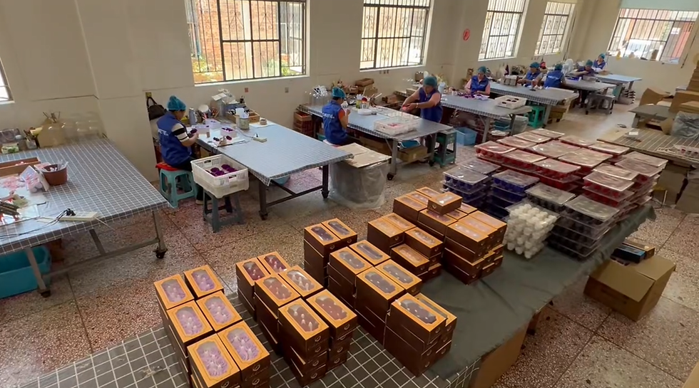 preserved flower factory (3).png