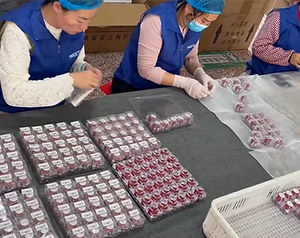 preserved flower factory 17(1).png