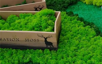 reindeer moss factory.png