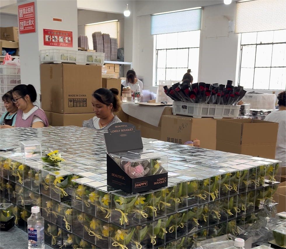 Preserved Flower Factory