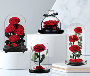 Preserved Roses in Glass
