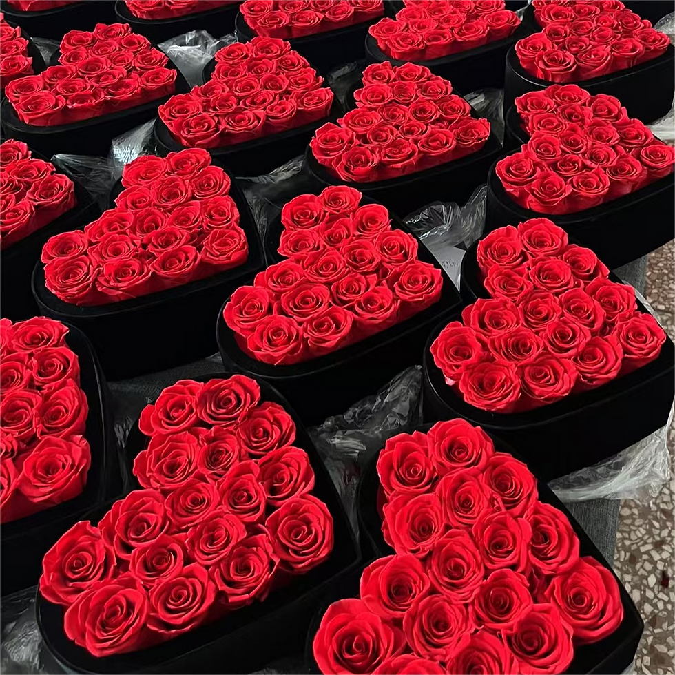 496e70e8b2731d31379792664868da6d(1)