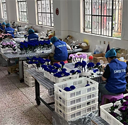 preserved flower factory 8.png