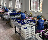 preserved flower factory 8.png